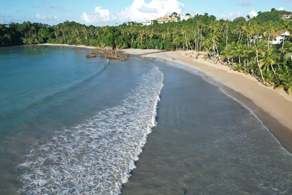 Appartement 3 Bedroom First Line Beach Apt At Playa Bonita El Paraiso Building 101 Las Terrenas Dominicaanse Republiek